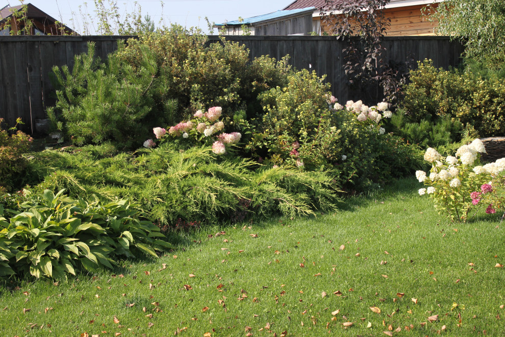 В гостях у Сказки