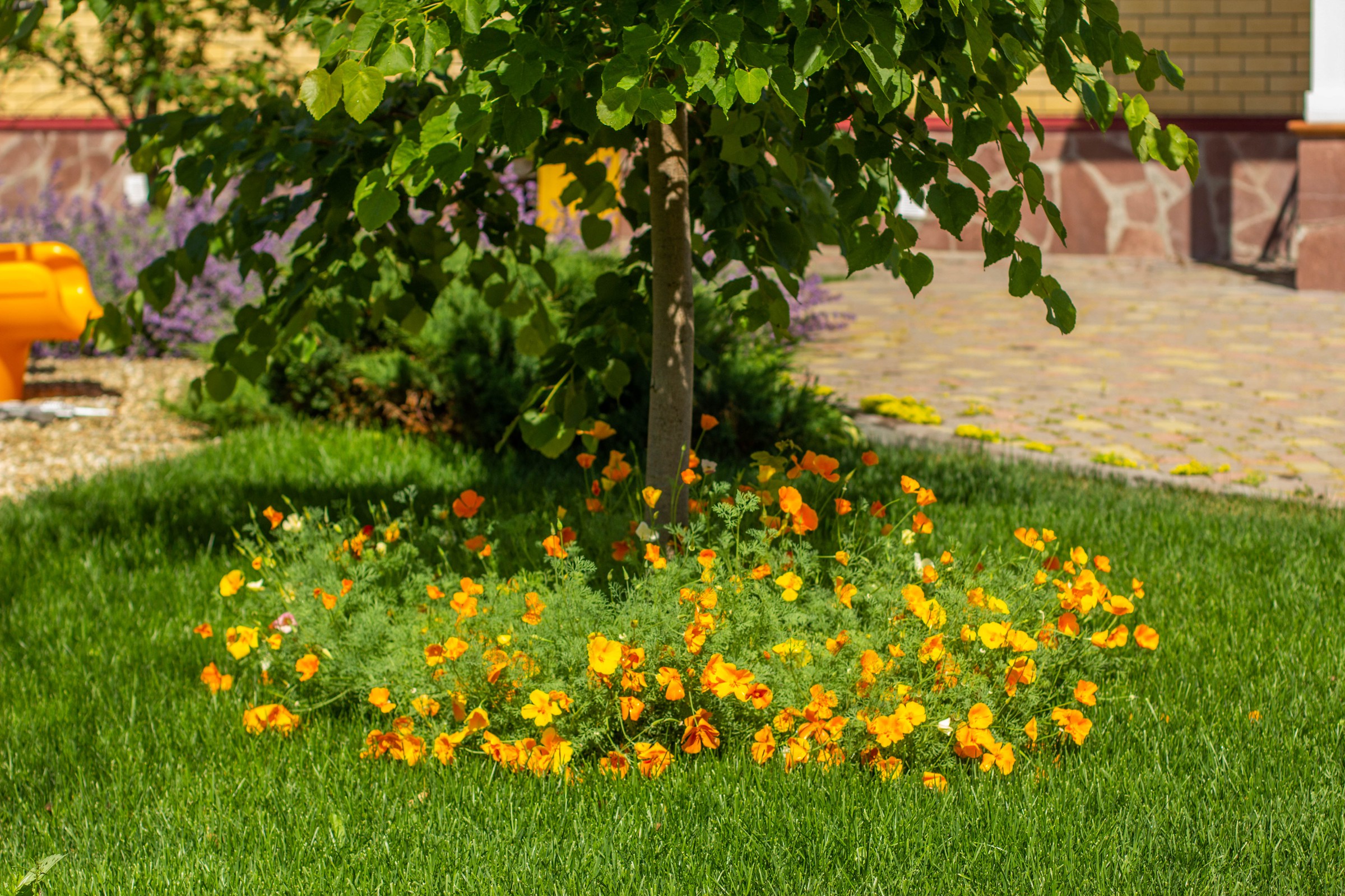 Сад с зеленой крышей