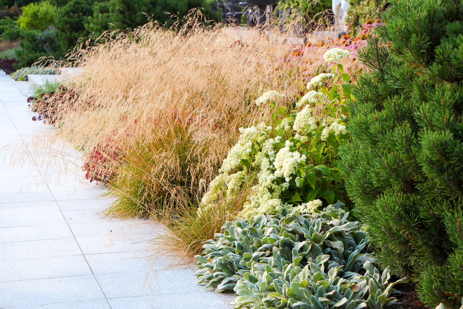 Горки-10, 2017-2020 г.г.