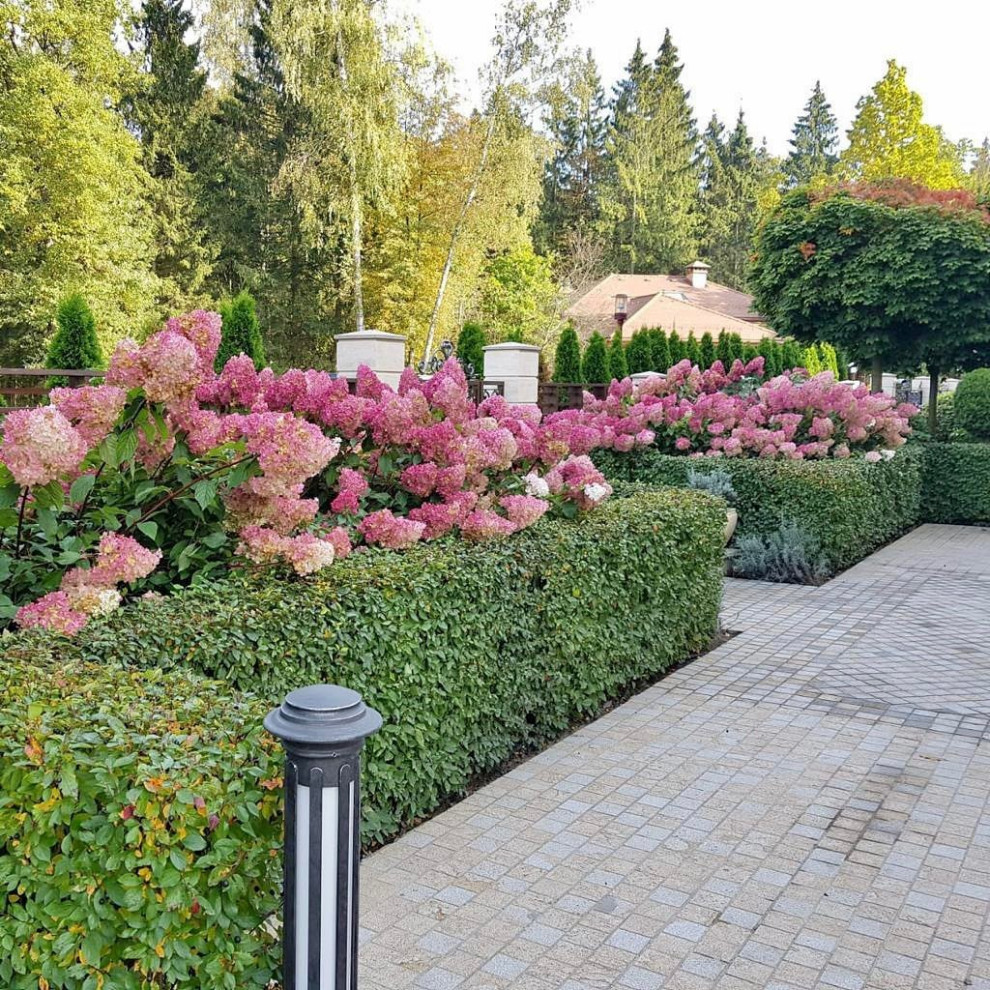 Современный ландшафтный дизайн.