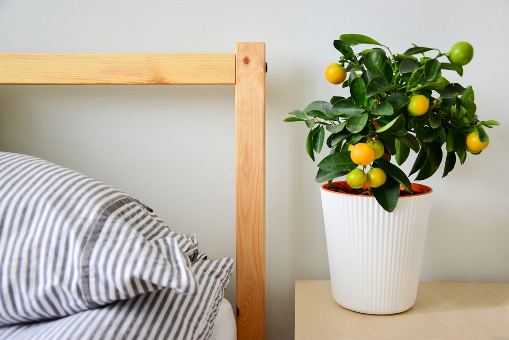 В гостях: Съемная квартира для холостяков на Масловке