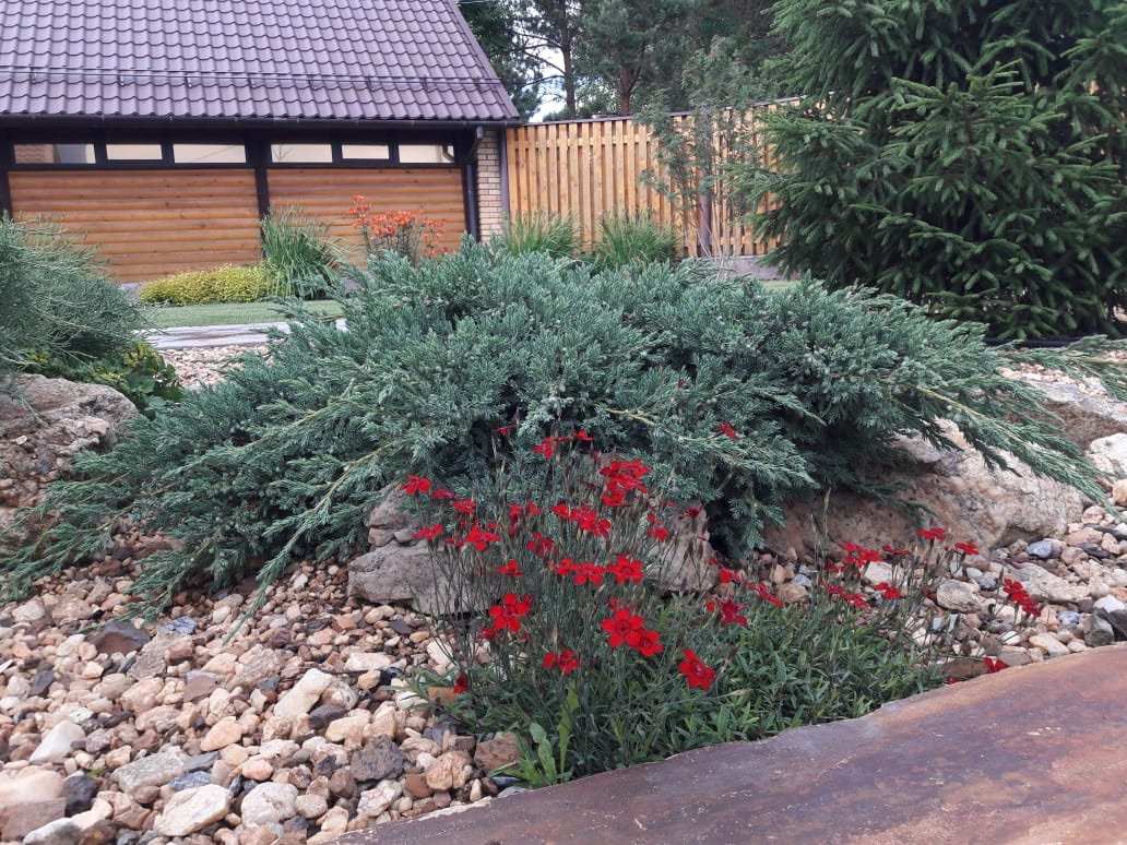 Минимализм в саду