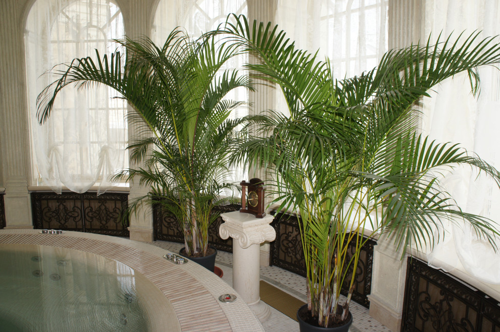 Озеленение бассейна 1