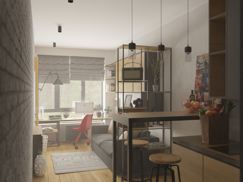 Обложка проекта: Студия- апартаменты