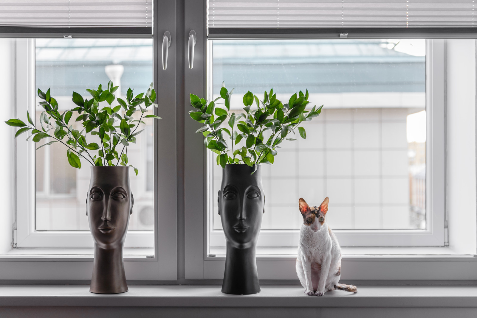 Houzz тур: «Голландская» квартира в Новосибирске