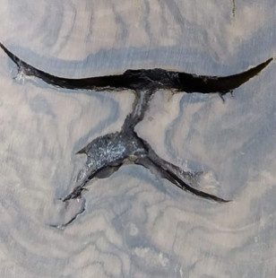 Виталий Бурдуков