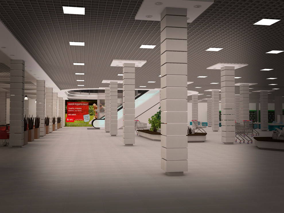 Обложка проекта: Торговый центр "РУБИН 2"