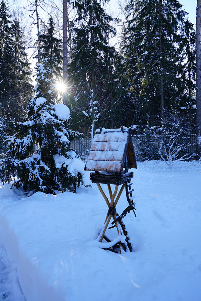 Как правильно: Приспособить участок для проживания зимой