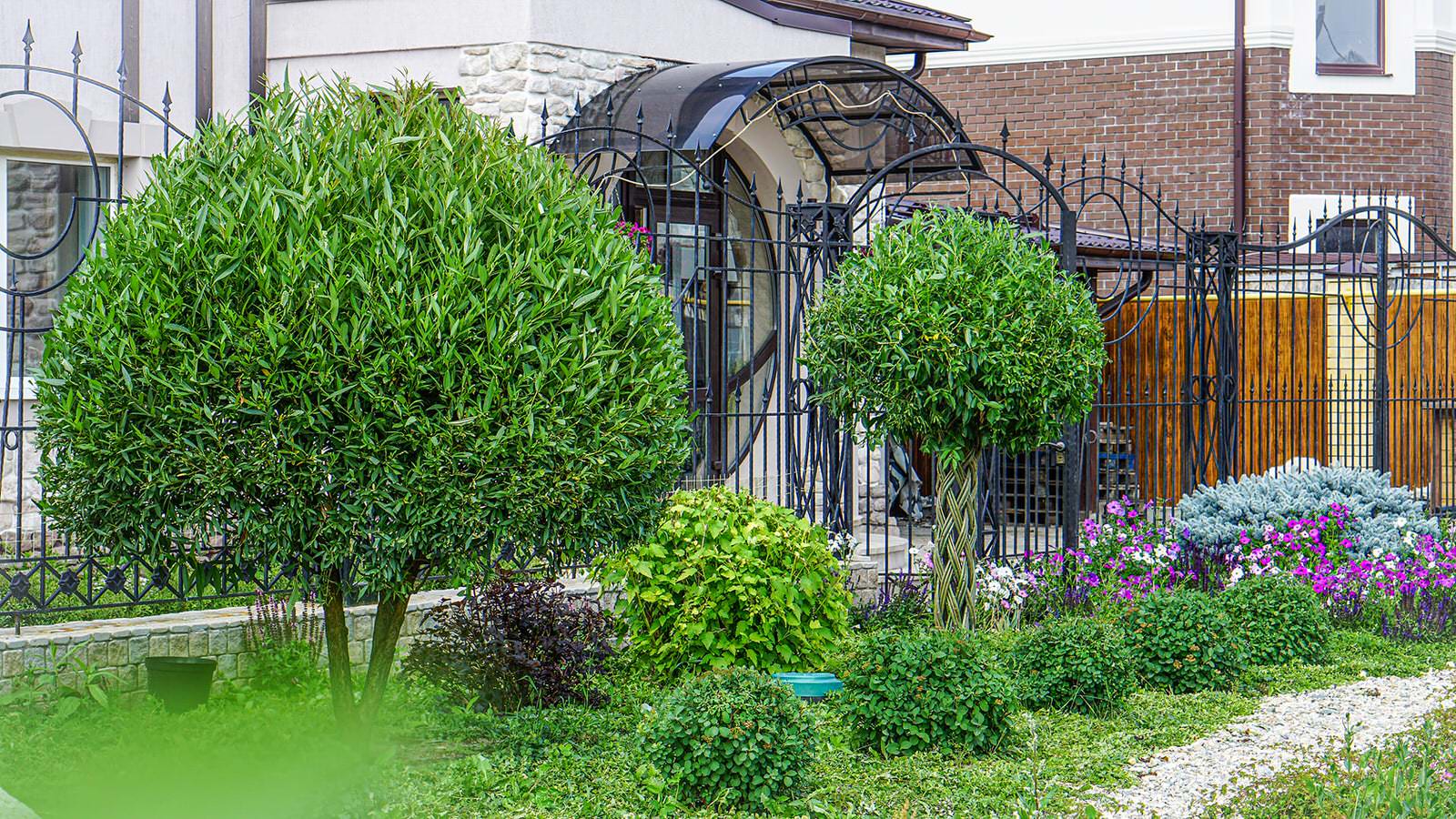 Мощение и озеленение