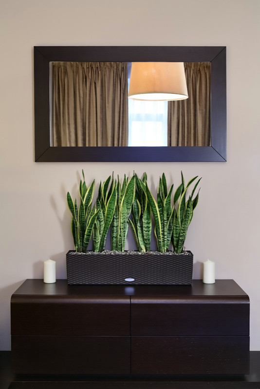 Квартира продюсера