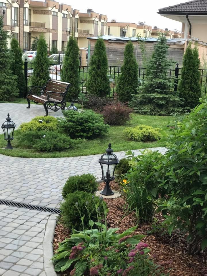 клумбы и группы