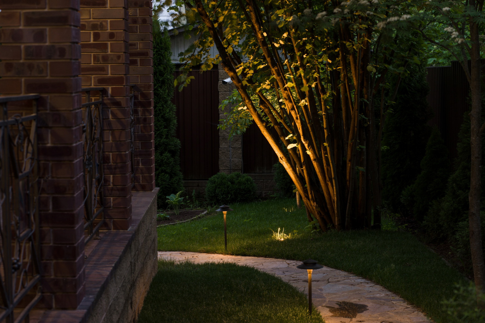 Обложка проекта: Единение с природой