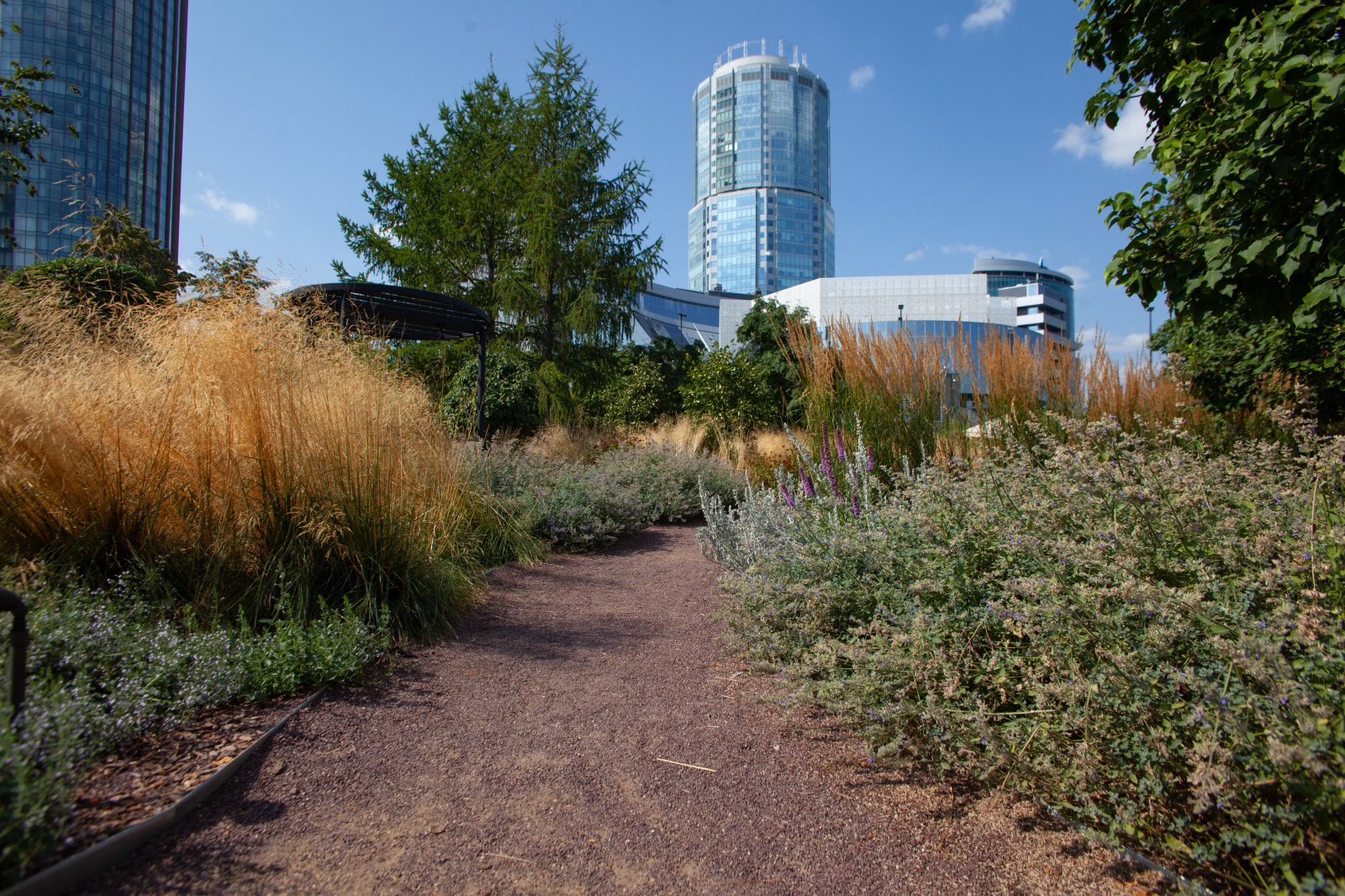 Обложка проекта: Сад трав