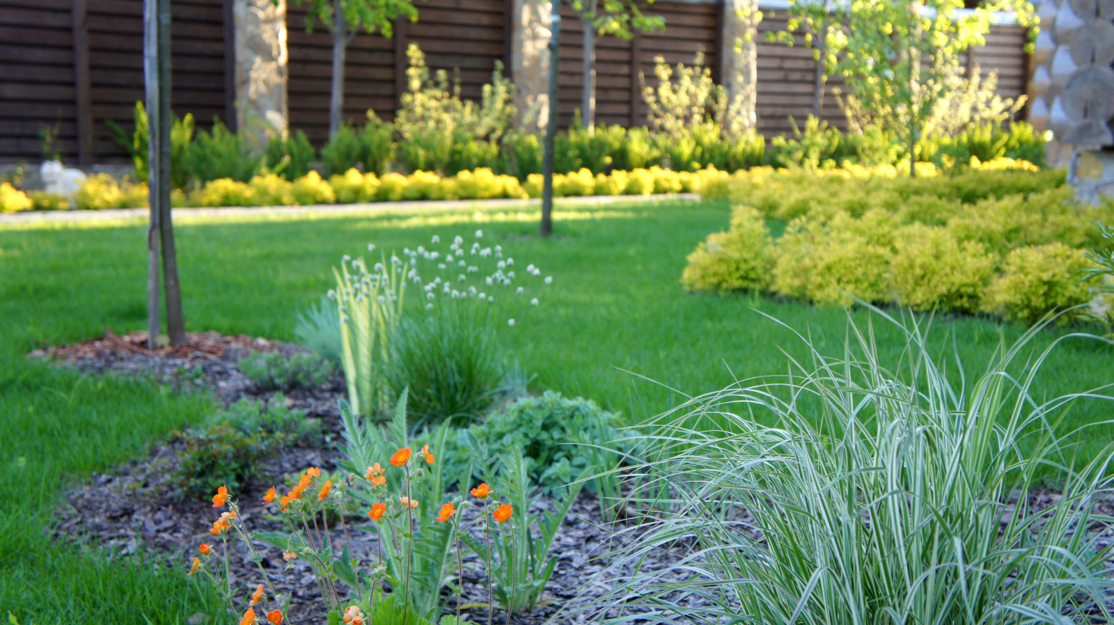 Цветники и композиции крупным планом