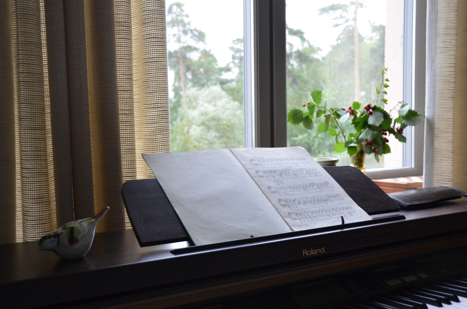 Квартира в ЖК Северный парк