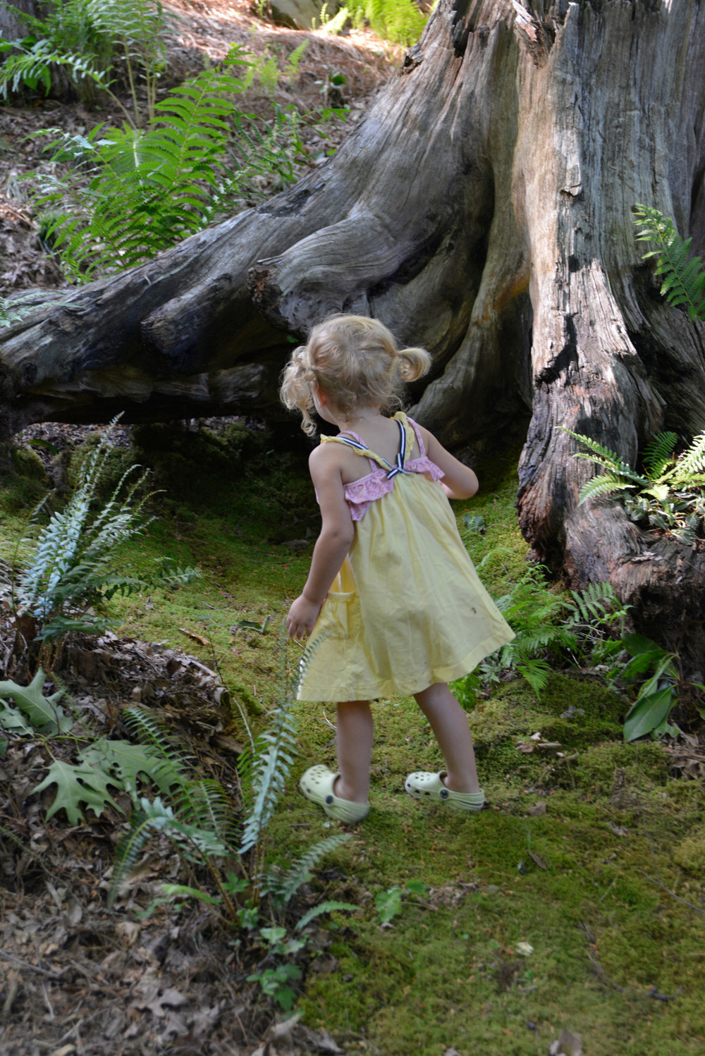 Дети в саду: Обустройство детской клумбы и выбор растений