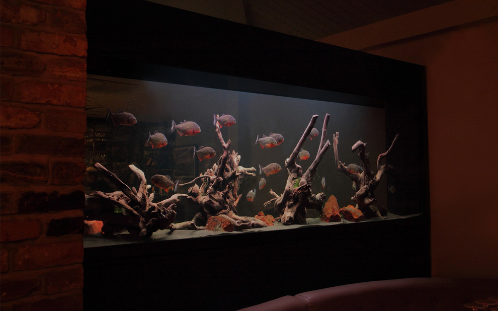 Водный мир: Как оформить аквариум внутри