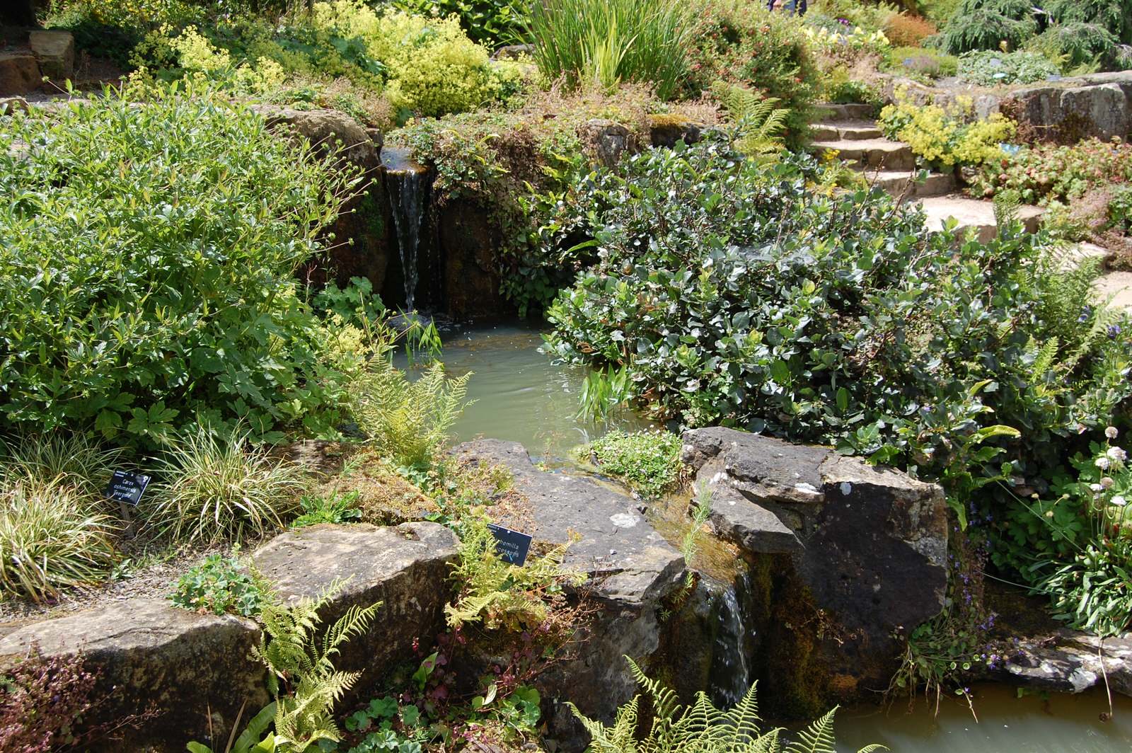 Наши статьи: "Сад пяти чувств". Фото 3