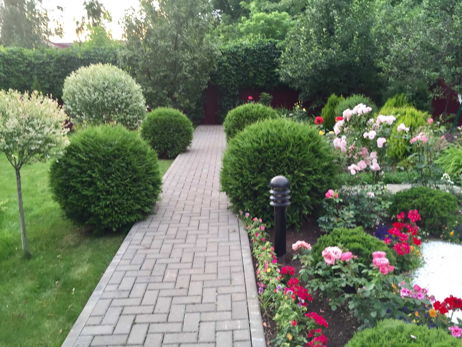 Обложка альбома: Сад и растения