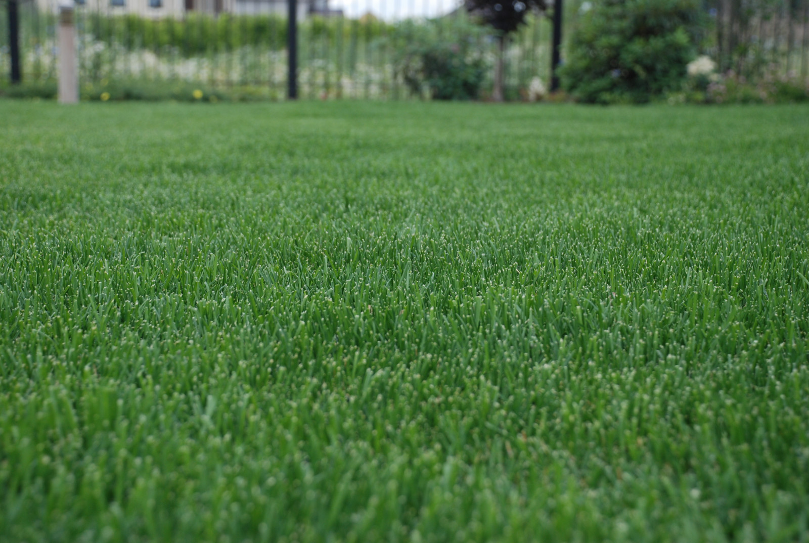 Миллениум Парк