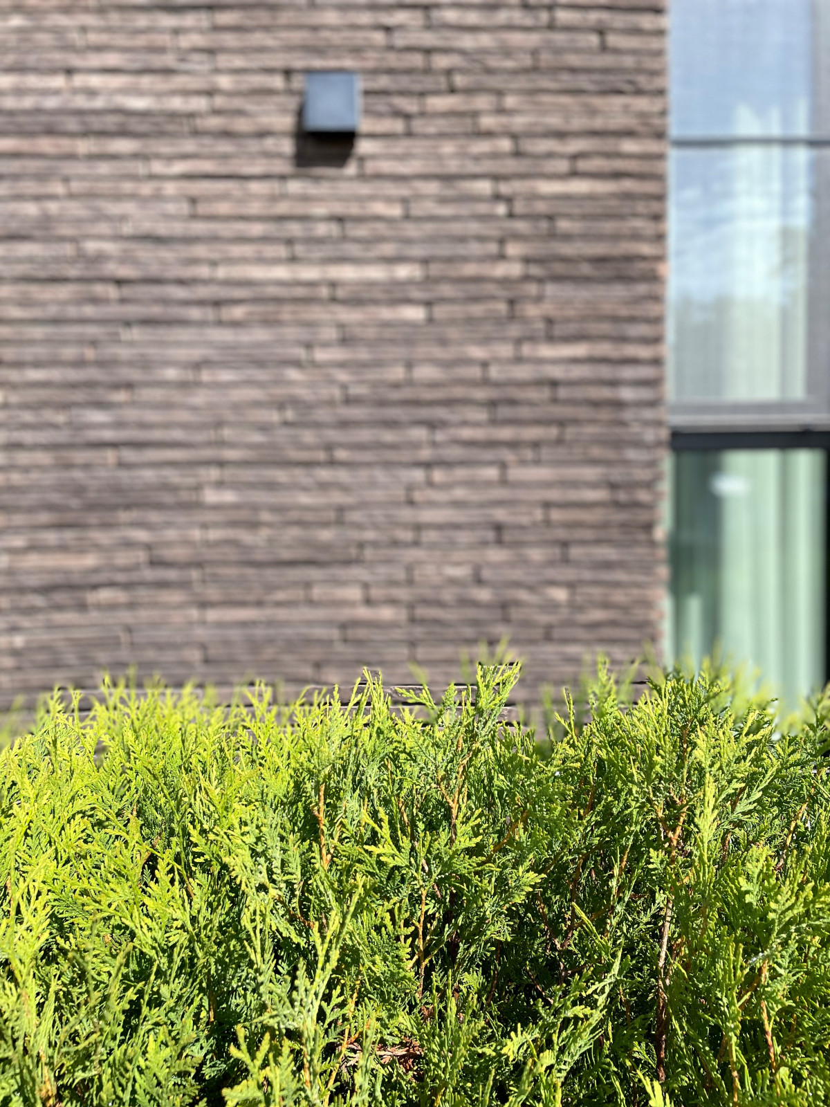 Обложка проекта: Малевич - ничего лишнего.