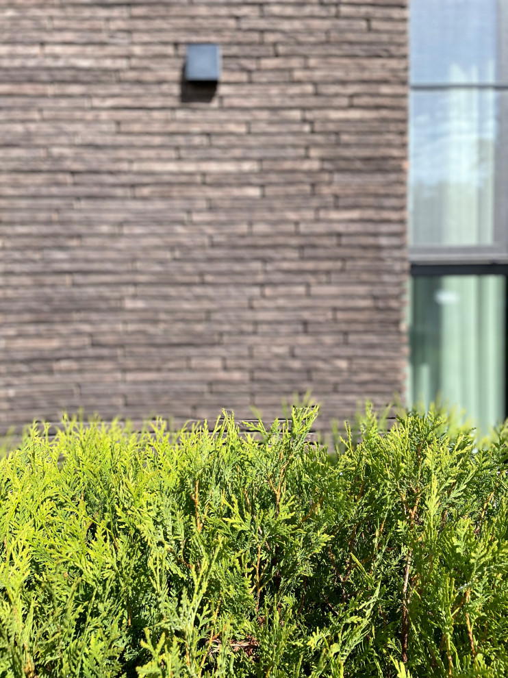 Обложка проекта: Малевич - ничего лишнего.