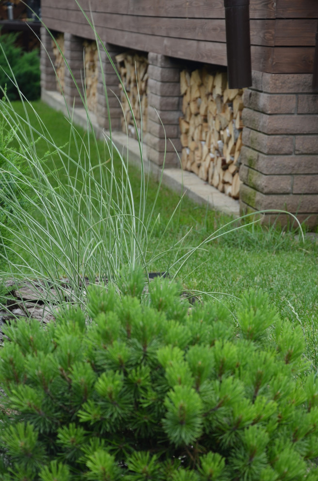 Звенящие шаги