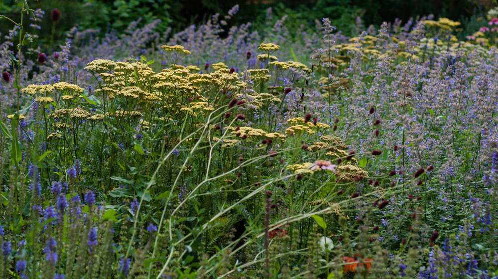 Оттенки синего
