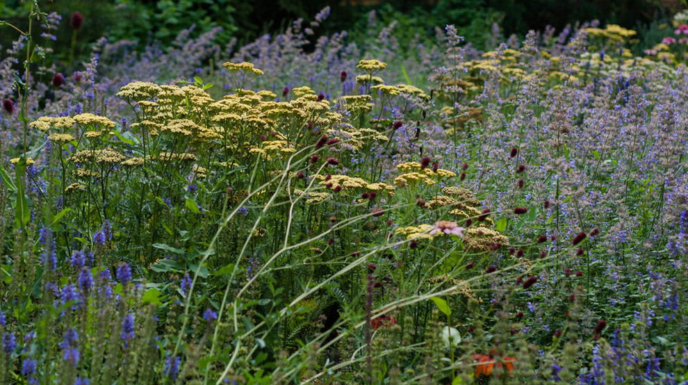 Оттенки синего