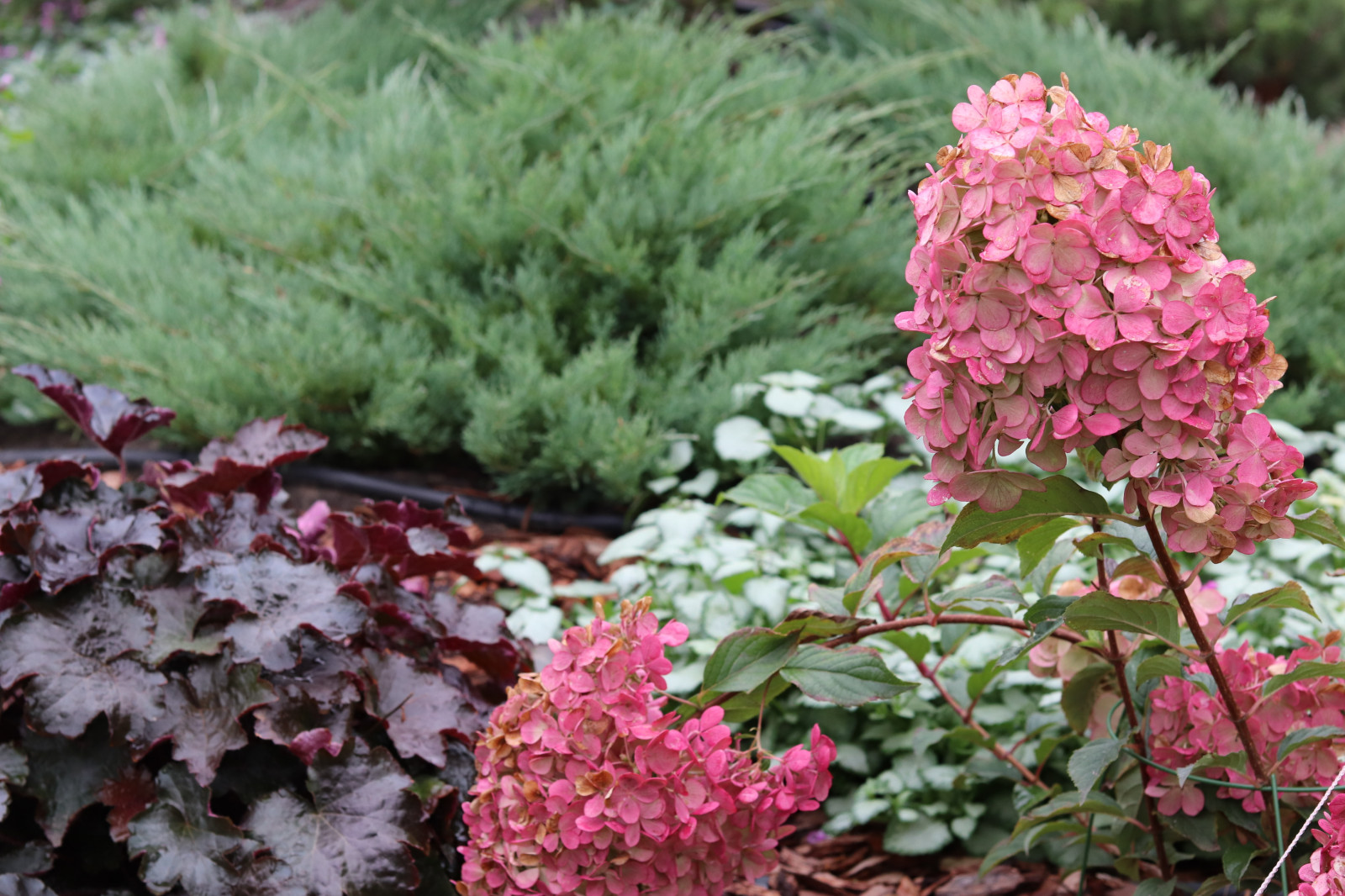 Айдаровский ручей