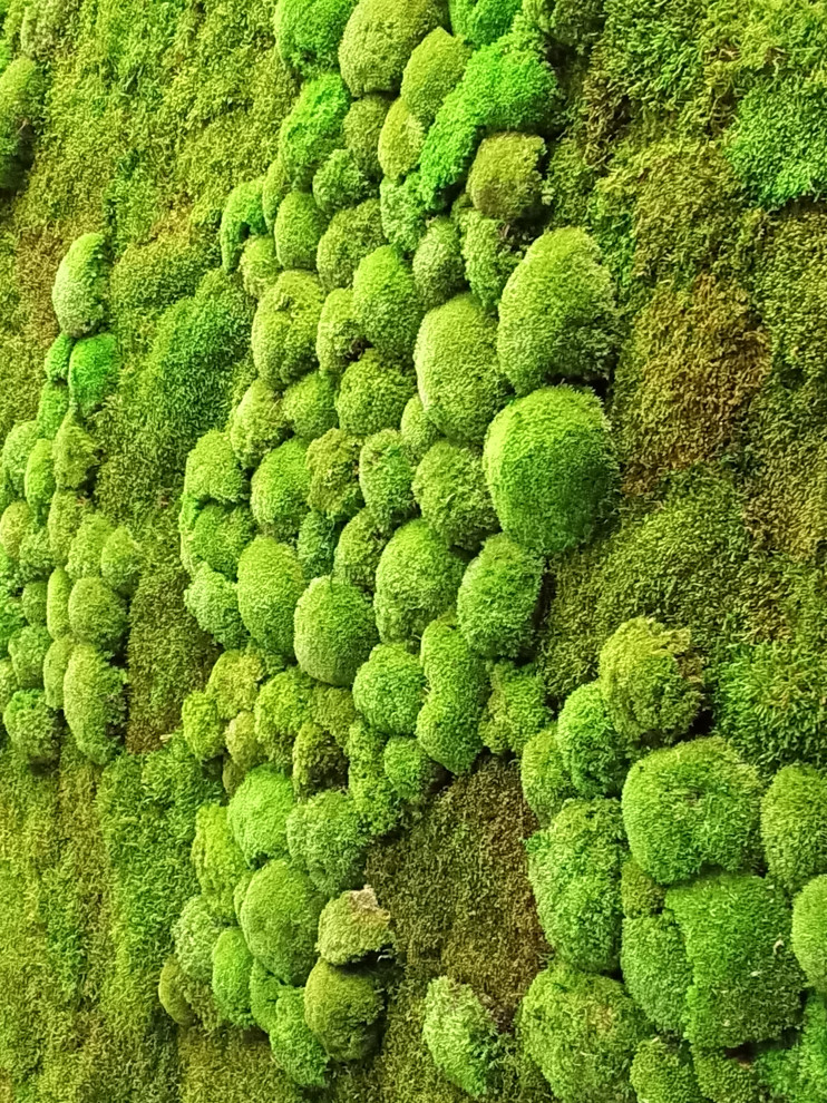 Тюмень. Комарово