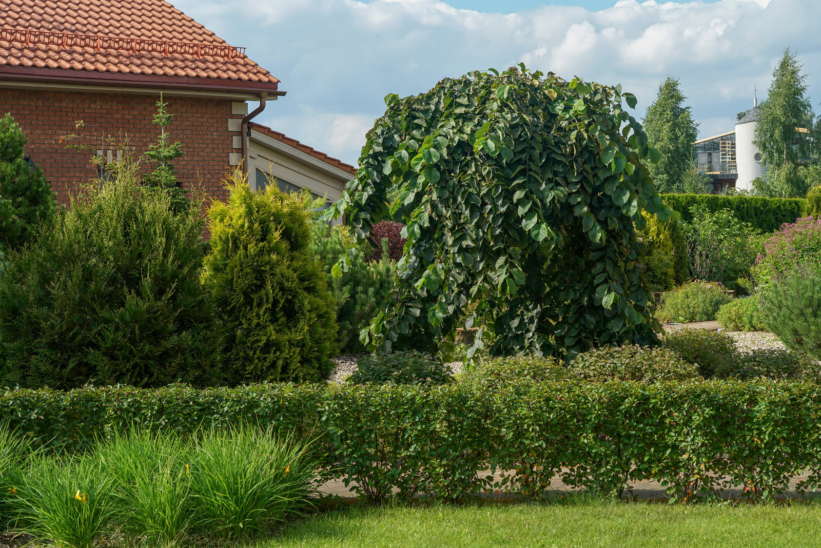 Проект Сада  в "Бельгийской деревне "