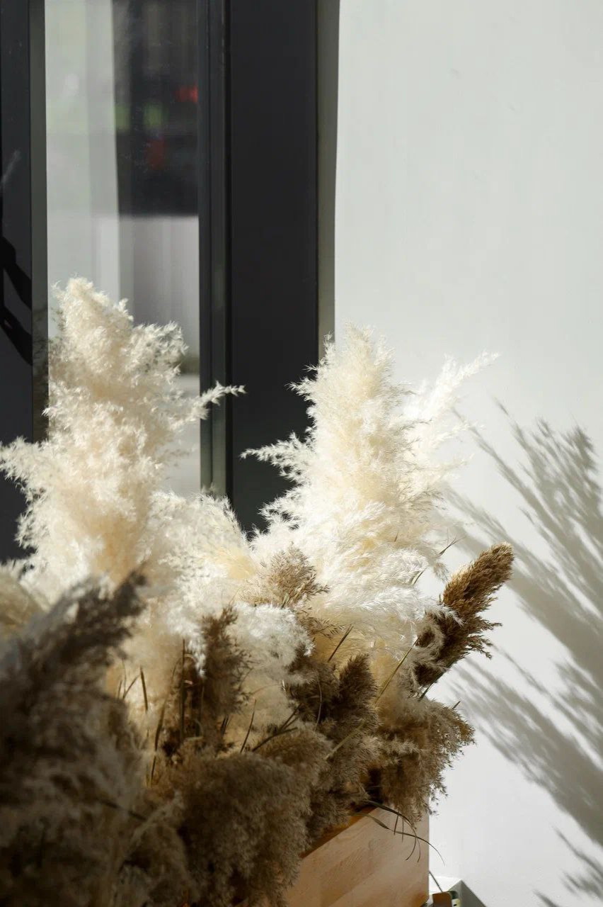 Проект кофейни