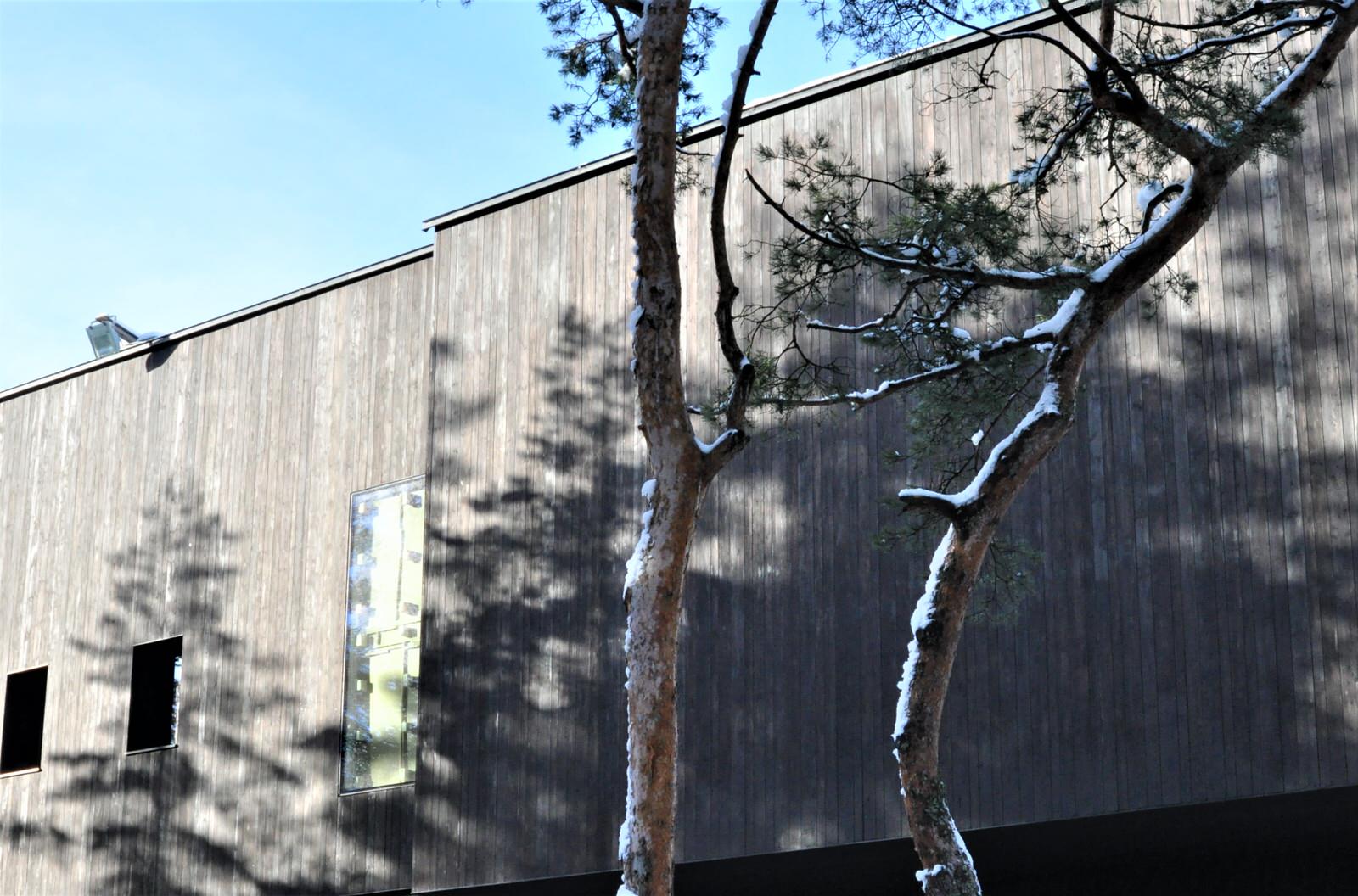 Shou Sugi Ban. Фасадная обожженная доска от Suntan WOOD.