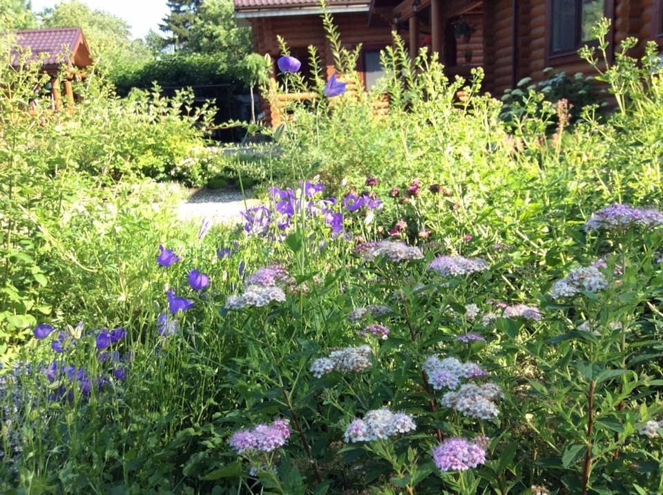 САДИК НА ЛАДОШКЕ 2016