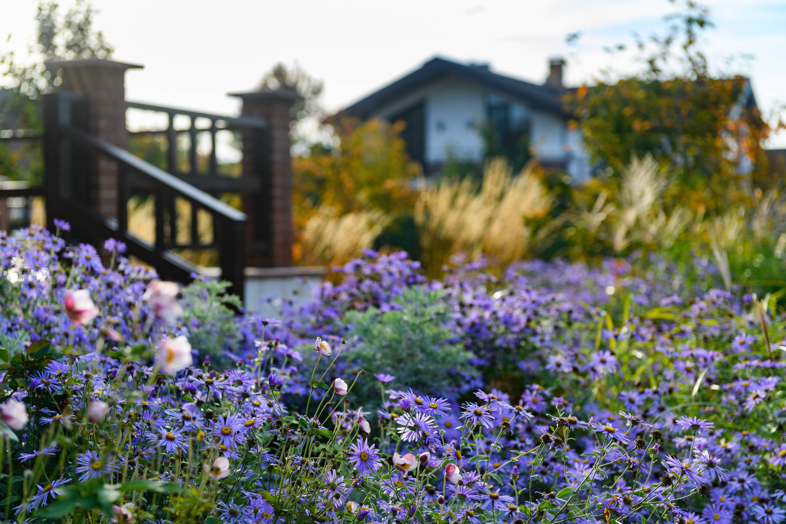 В гостях: Германия в русском саду