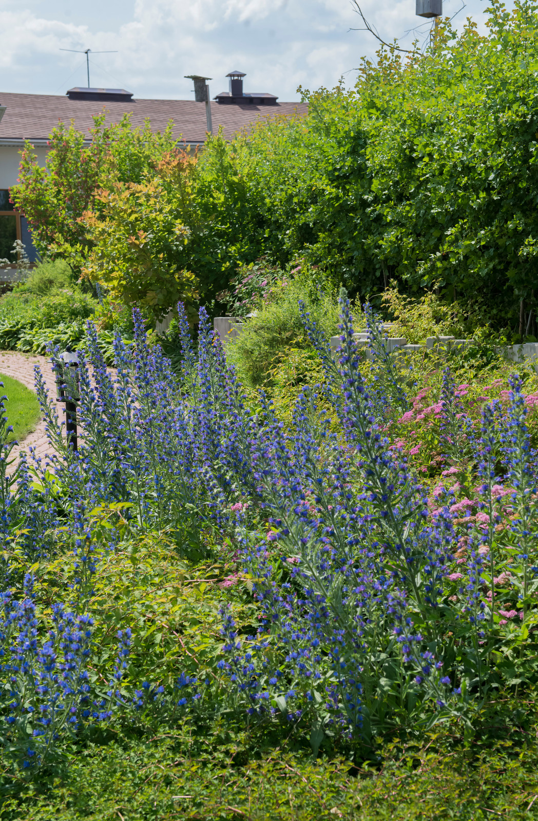 Большой сад в пригороде