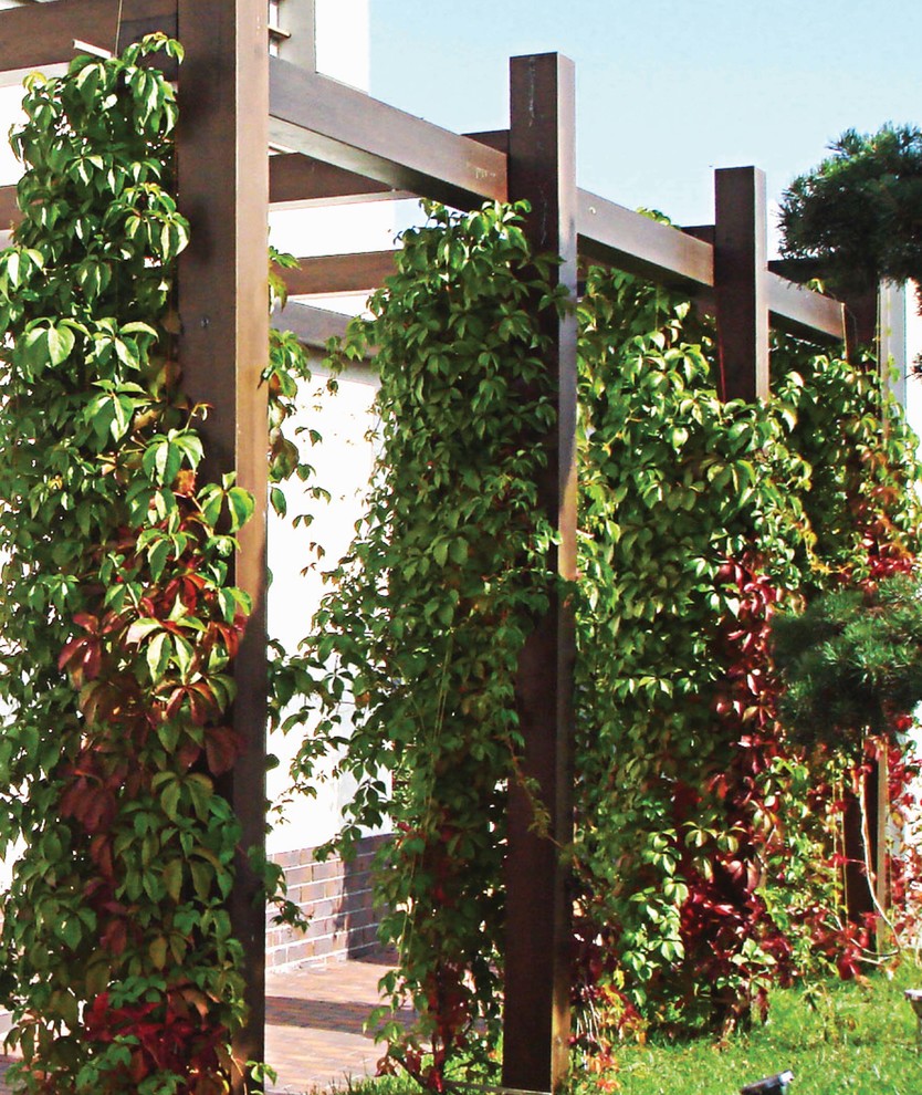 Обложка альбома: терраса