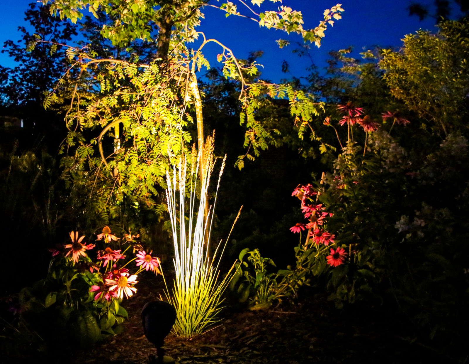 Горки-10, ночной сад, 2017-2020 гг.