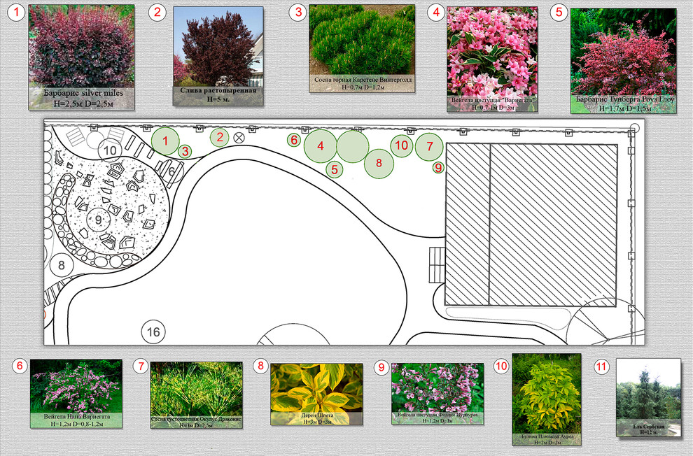 Проект ландшафта с разноуровневыми посадками