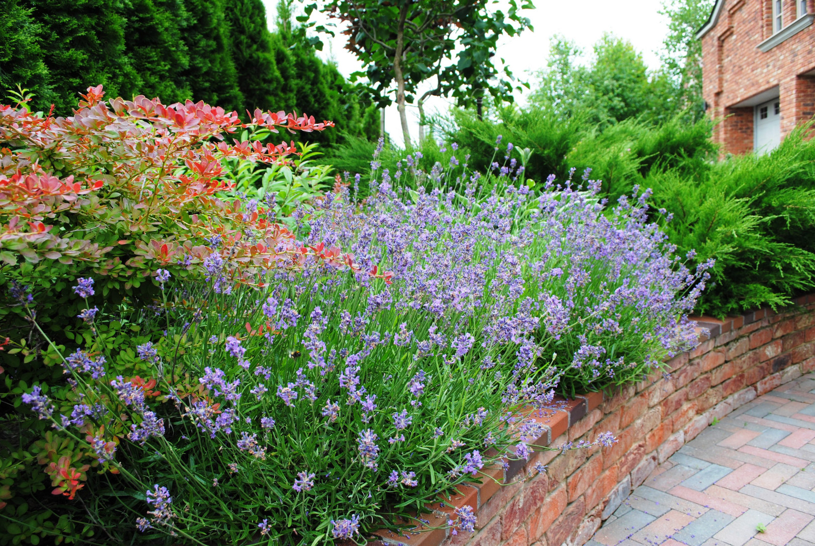 Калужское шоссе