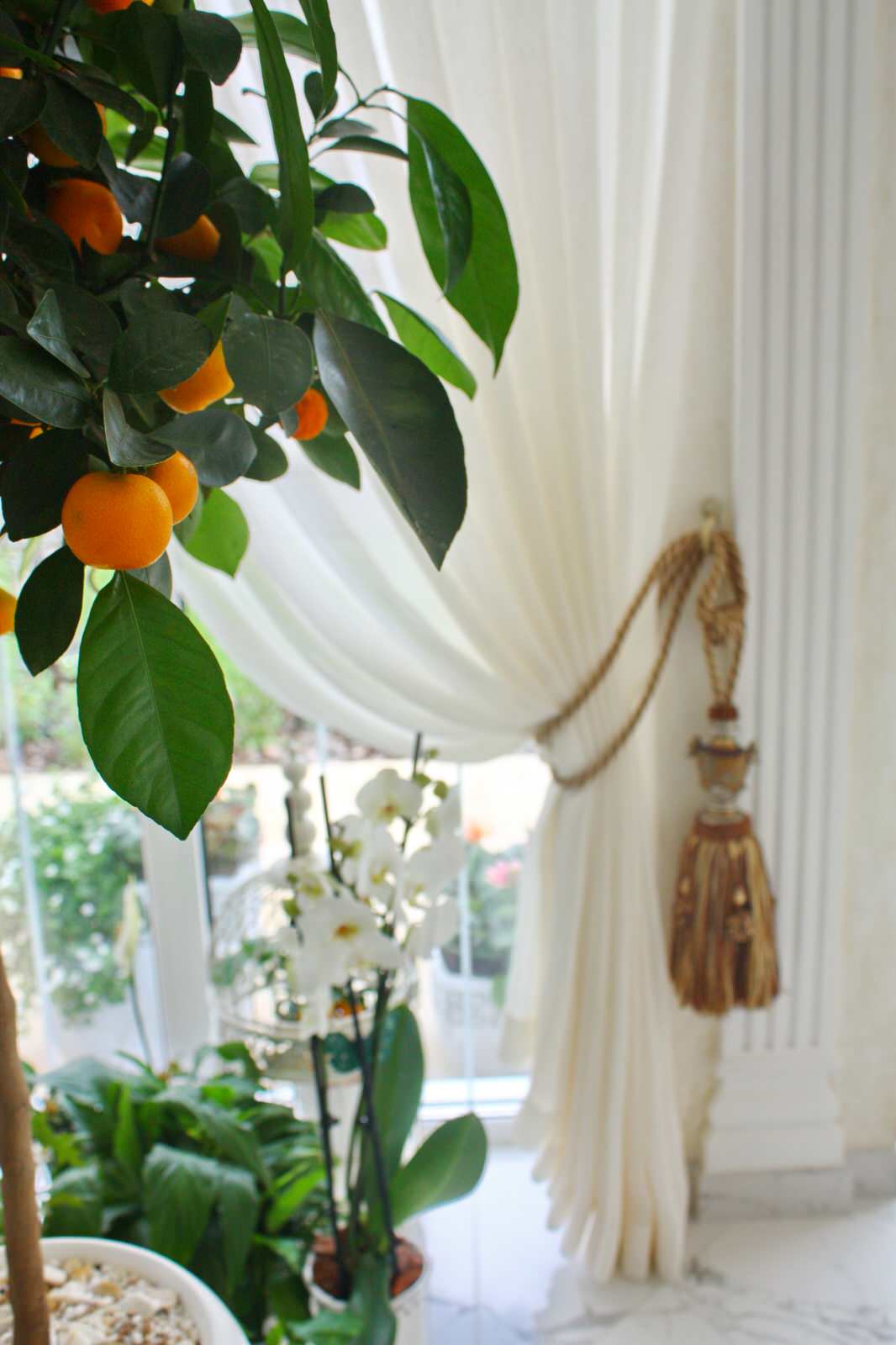 Зимний сад, зона барбекю, беседки: оформление