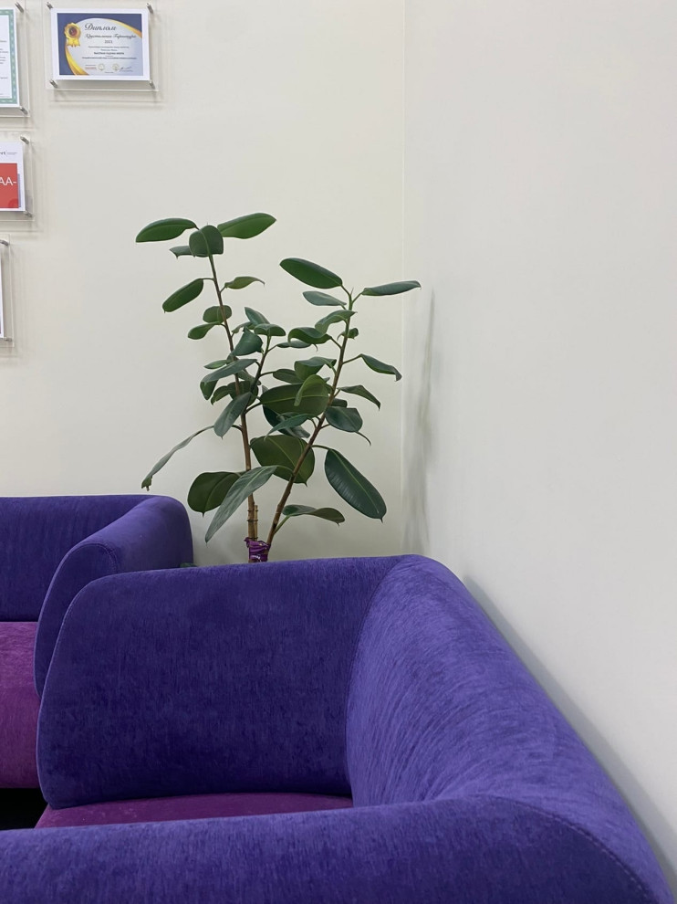 Обложка проекта: Дизайн-проект офиса Ренессанс-страхование