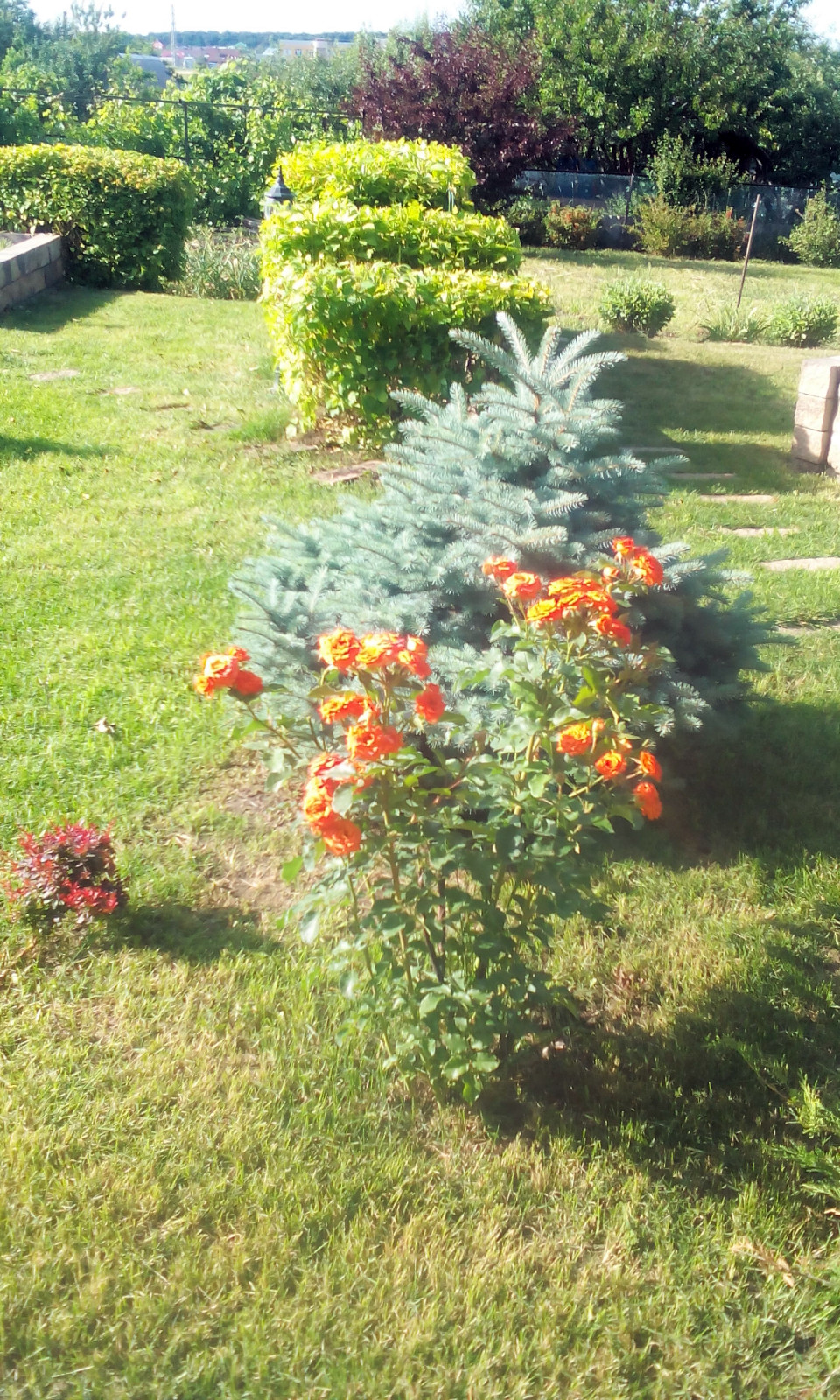 Французский дворик