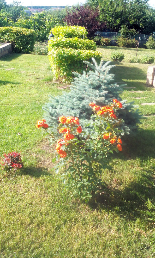 Французский дворик