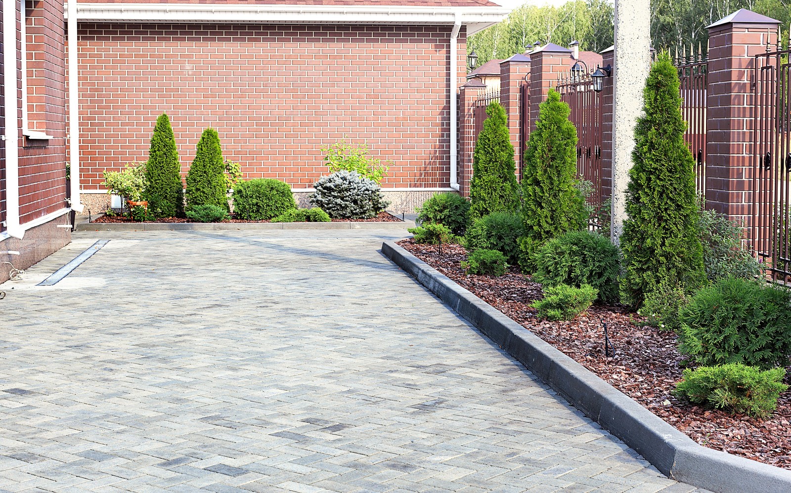 Вавиловец 1