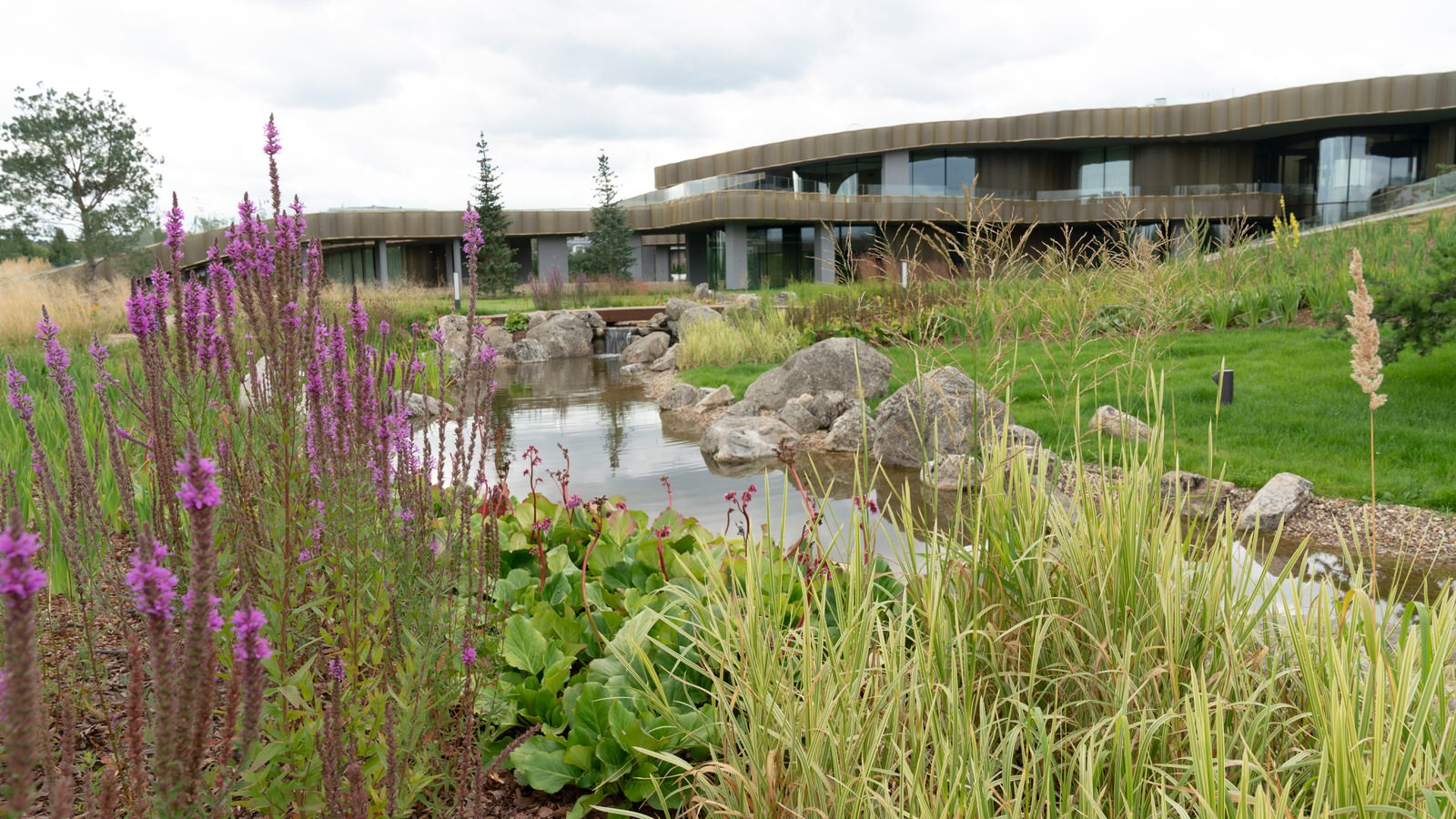 Природный сад. Жуковка XXI век. 2017-2018 гг.