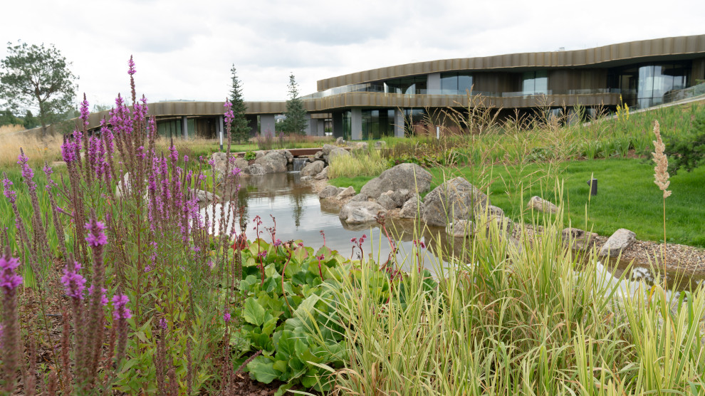 Природный сад. Жуковка XXI век. 2017-2018 гг.