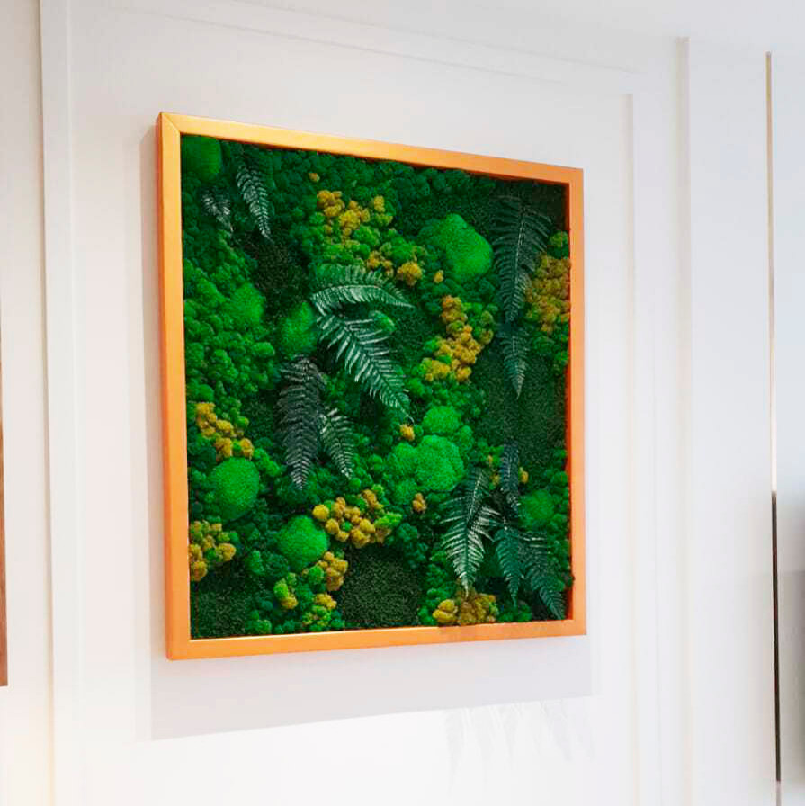 Обложка проекта: Картина из стабилизированных растений и мха