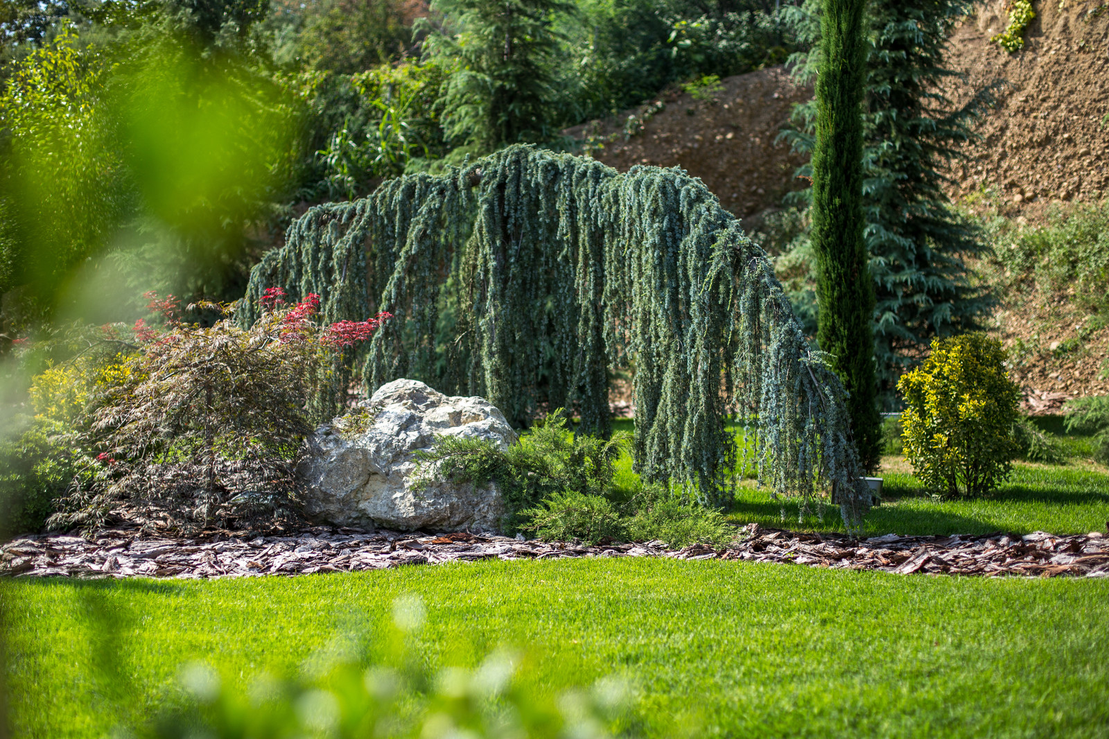 Ландшафтный Дизайн Олимпийский Сочи
